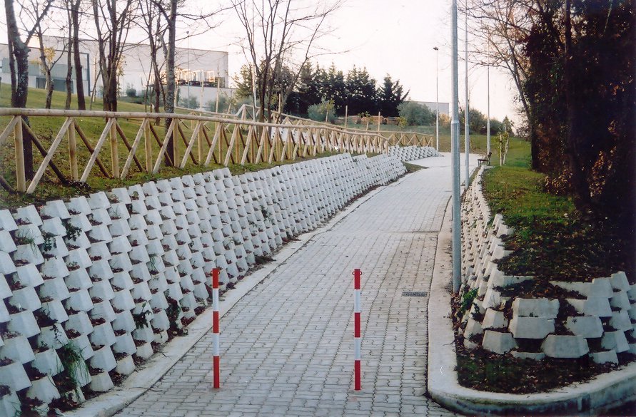 muro fiorito con vialetto
